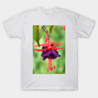 Fuchsia  FuchsiaBerry T-Shirt